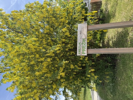 Dogajanje nad in na Prežihovini 8. 5. 2026 (34)